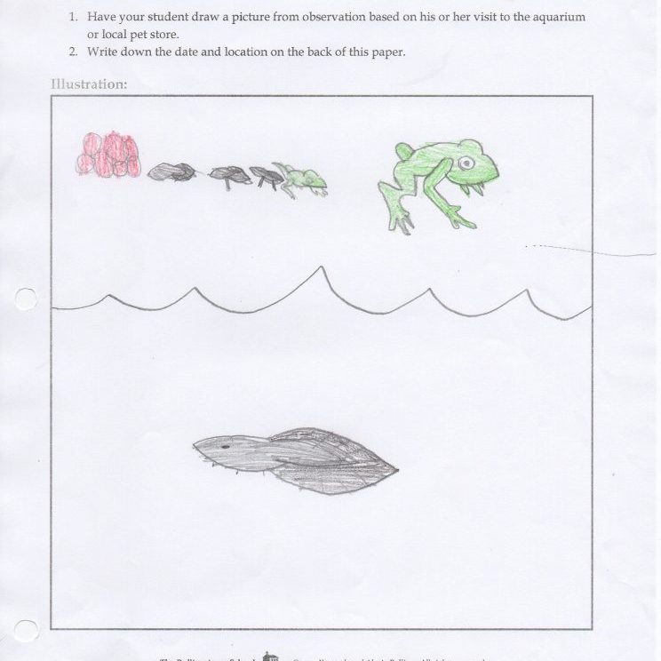 K-1st-Grade-Cycle-1-Samples013-744x1024